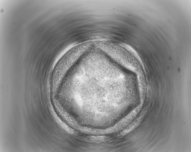 X0000087690859200705251707