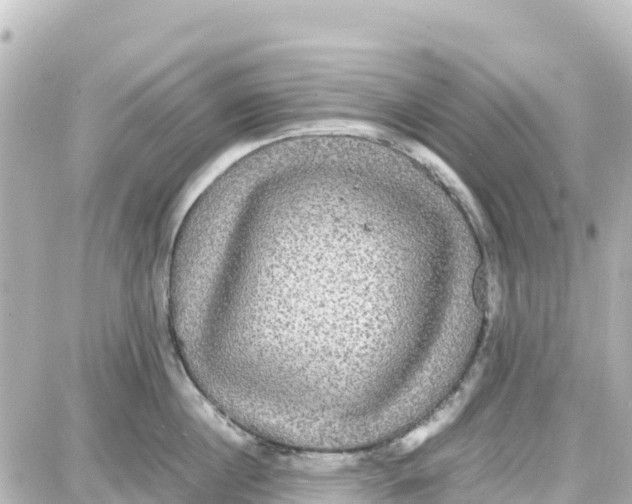 X0000087690860200705251707