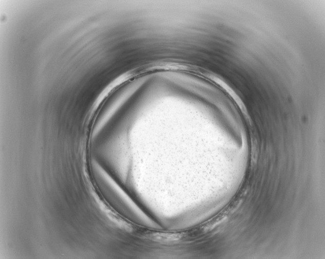 X0000087690861200705251707