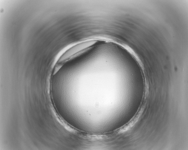 X0000087690862200705251707