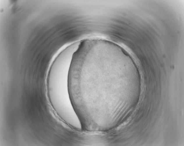 X0000087690864200705251707