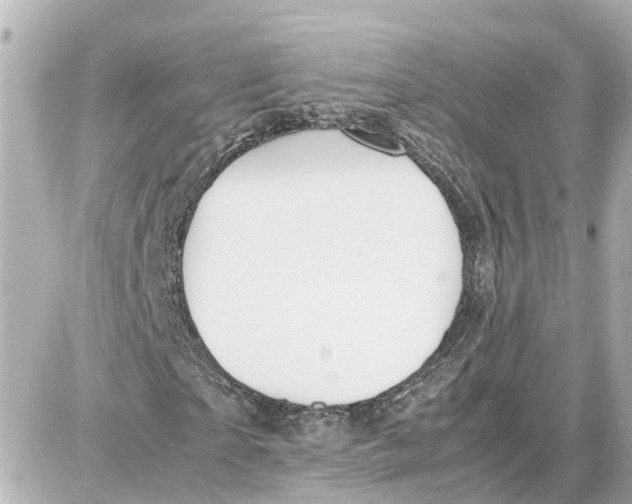 X0000087690865200705251706