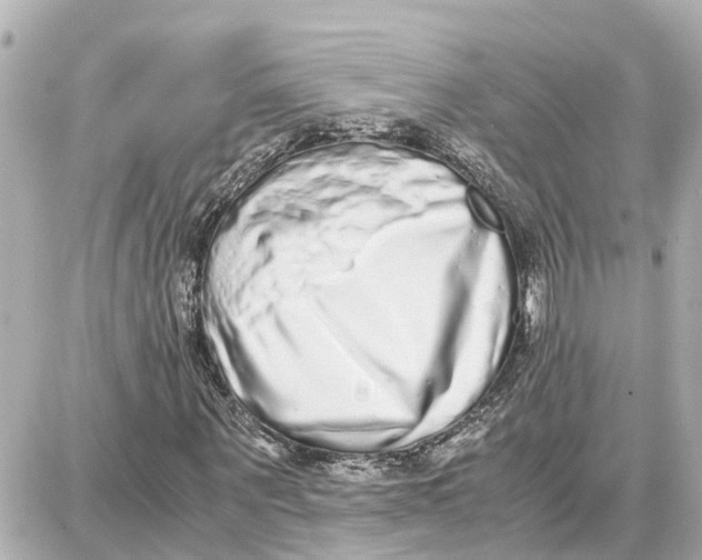 X0000087690867200705251706