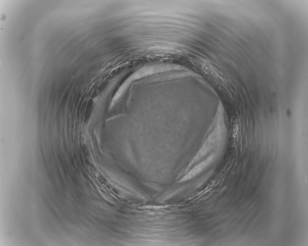 X0000087690868200705251706