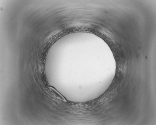 X0000087690869200705251706