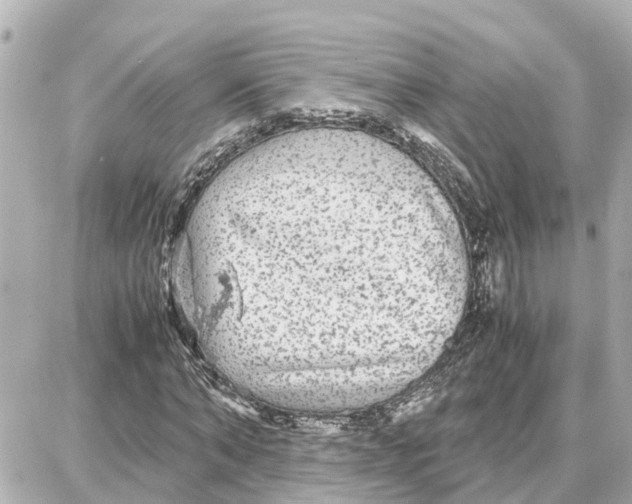 X0000087690870200705251706