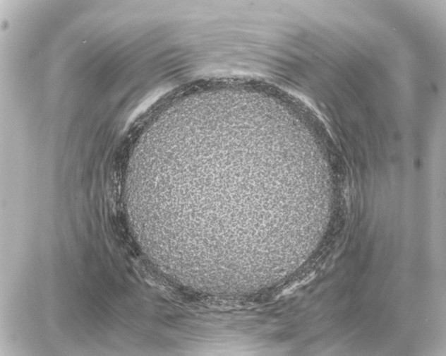 X0000087690871200705251706