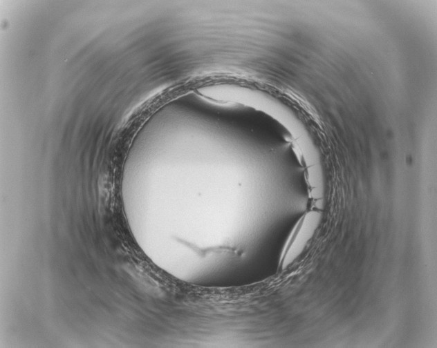 X0000087690872200705251706