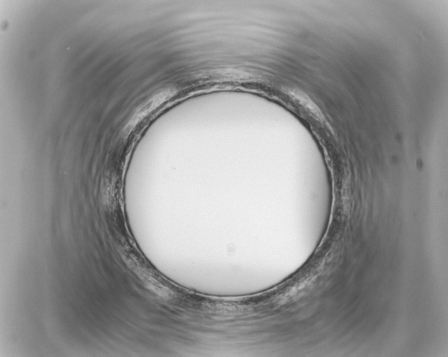 X0000087690873200705251706