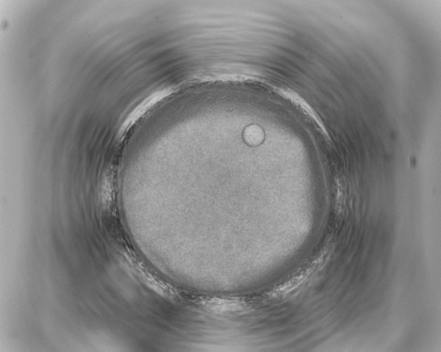 X0000087690874200705251706