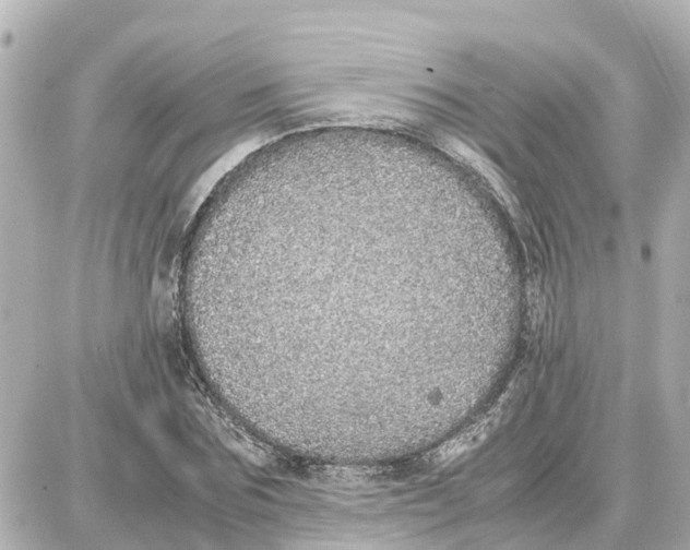 X0000087690875200705251706