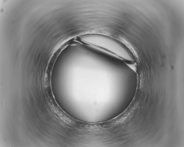 X0000087690876200705251706