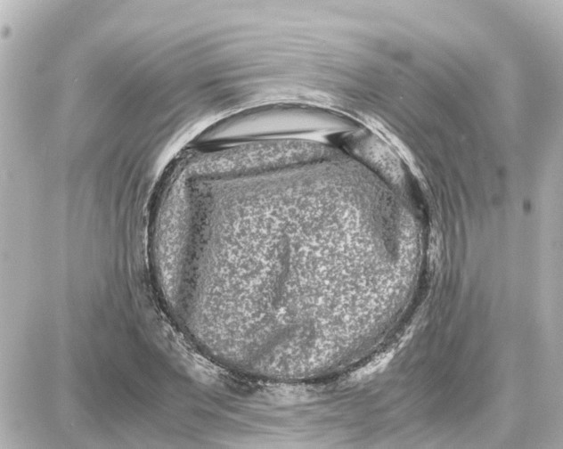 X0000087690877200705251706