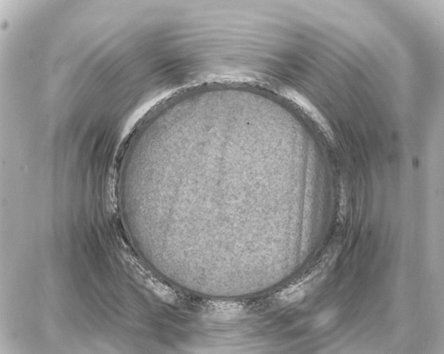 X0000087690878200705251706