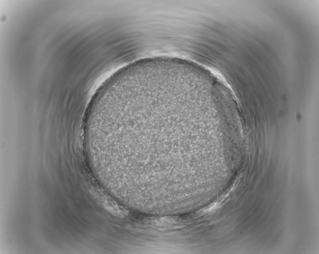 X0000087690879200705251706