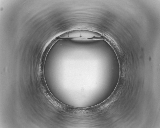 X0000087690880200705251706