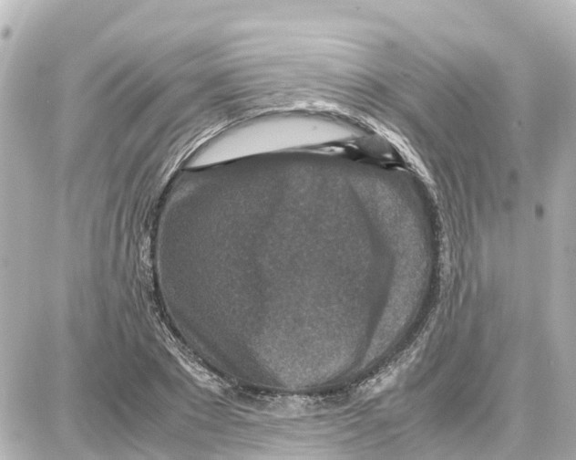 X0000087690881200705251706