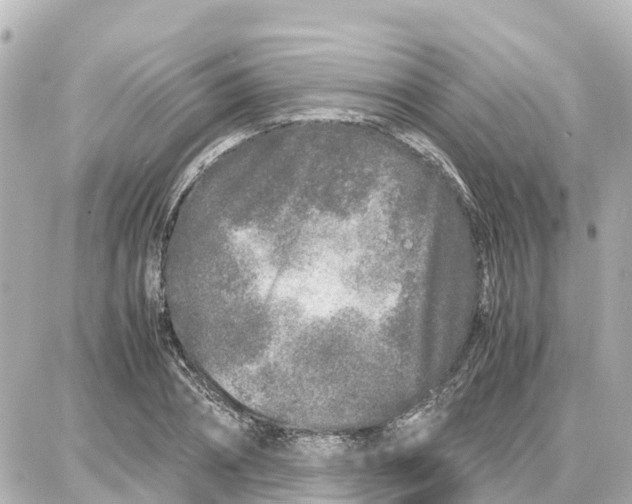 X0000087690882200705251706