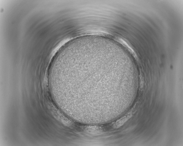 X0000087690883200705251706