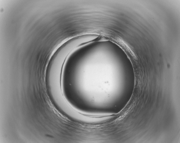 X0000087690884200705251706