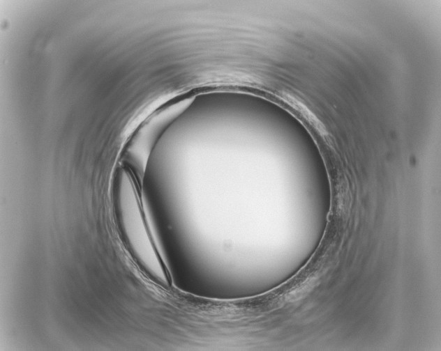 X0000087690885200705251706