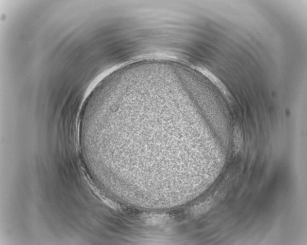 X0000087690886200705251706