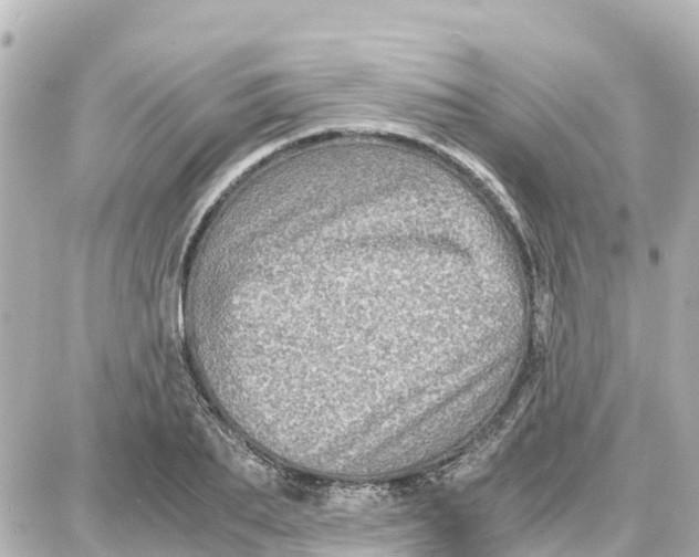 X0000087690887200705251706