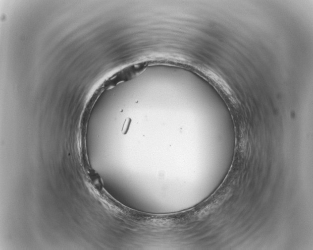 X0000087690888200705251706