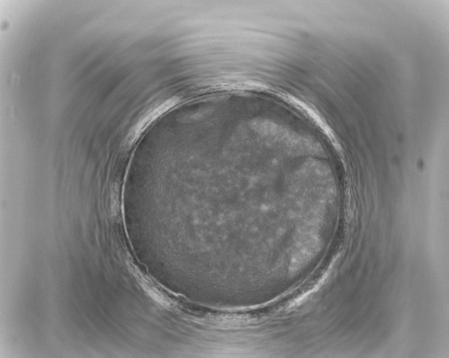 X0000087690889200705251706