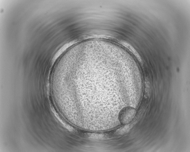 X0000087690890200705251706