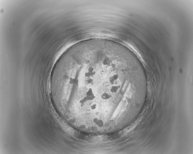 X0000087690891200705251706