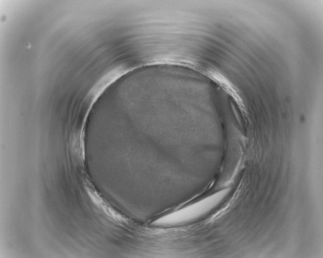 X0000087690892200705251706