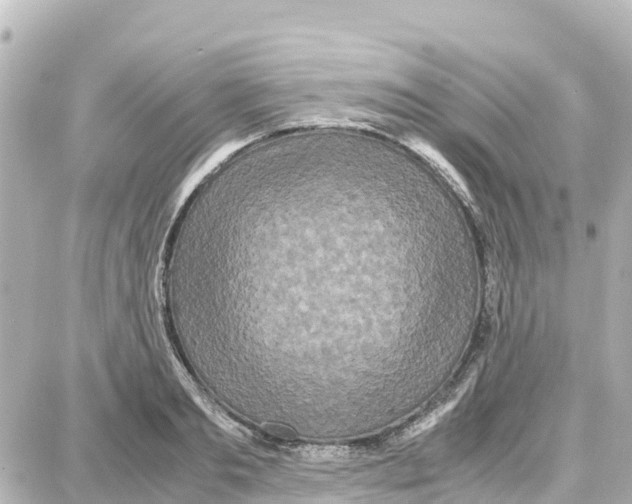 X0000087690893200705251706