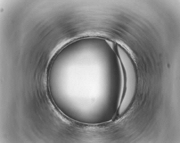 X0000087690894200705251706