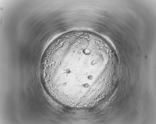 X0000087690895200705251706