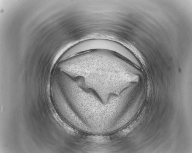 X0000087690896200705251706