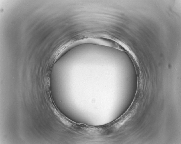 X0000087690897200705251706