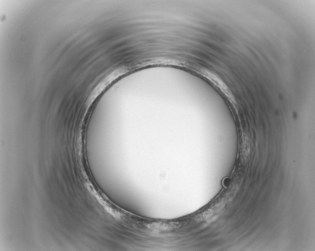 X0000087690898200705251706