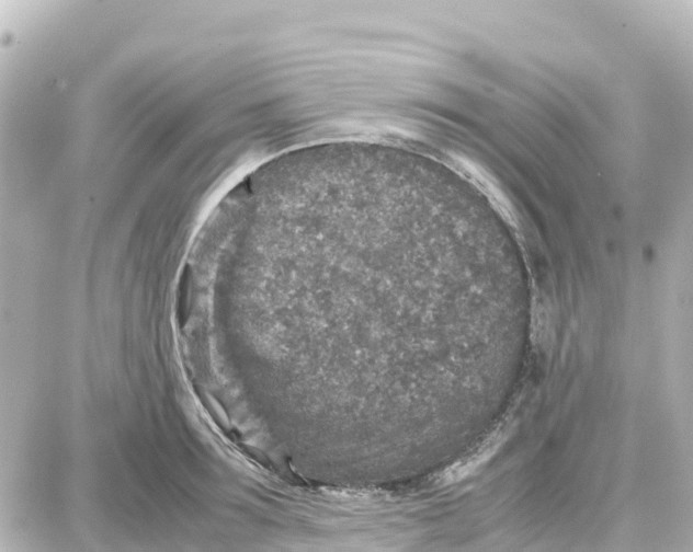 X0000087690899200705251706