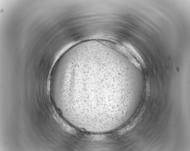 X0000087690900200705251706