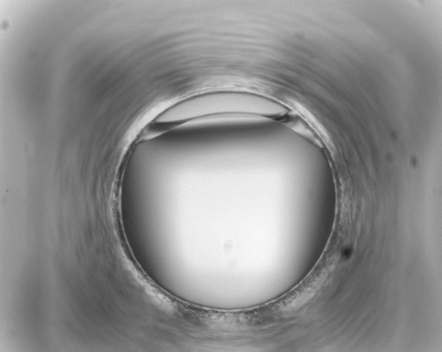 X0000087690901200705251705