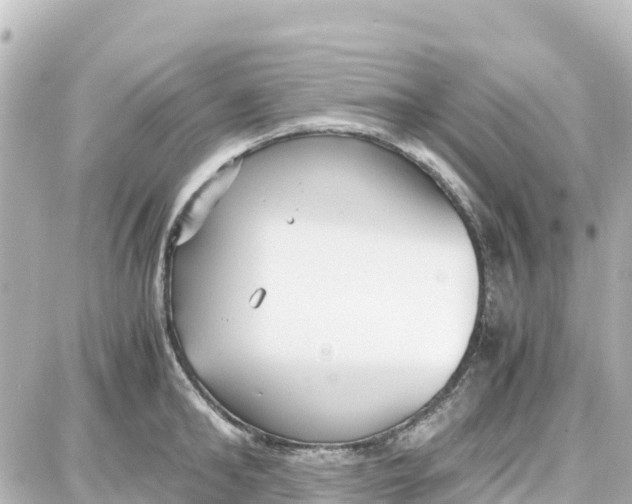 X0000087690902200705251705