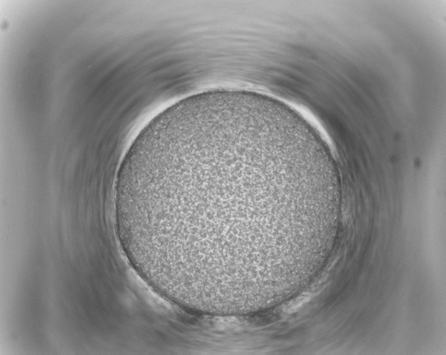 X0000087690903200705251705