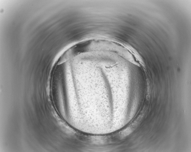 X0000087690904200705251705