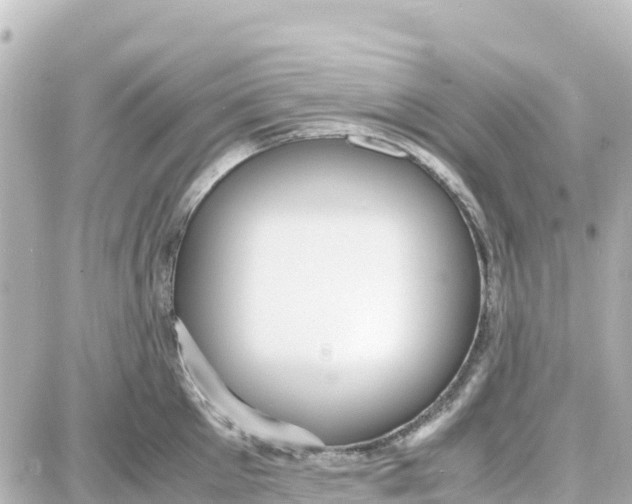 X0000087690905200705251705