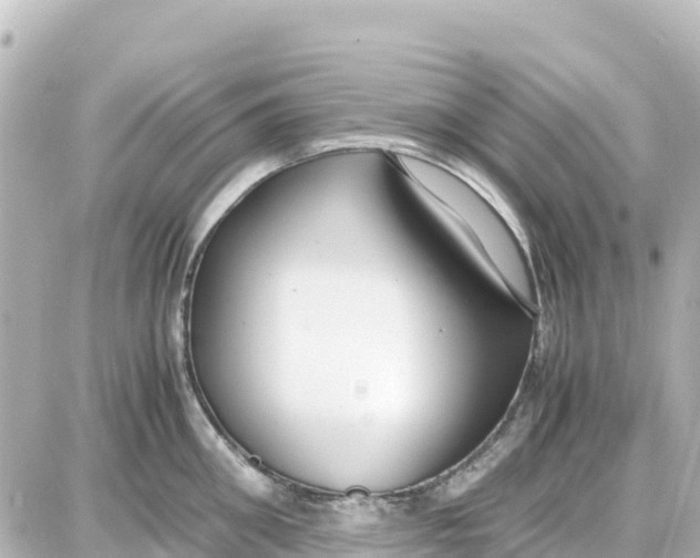 X0000087690906200705251705