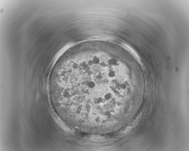 X0000087690907200705251705