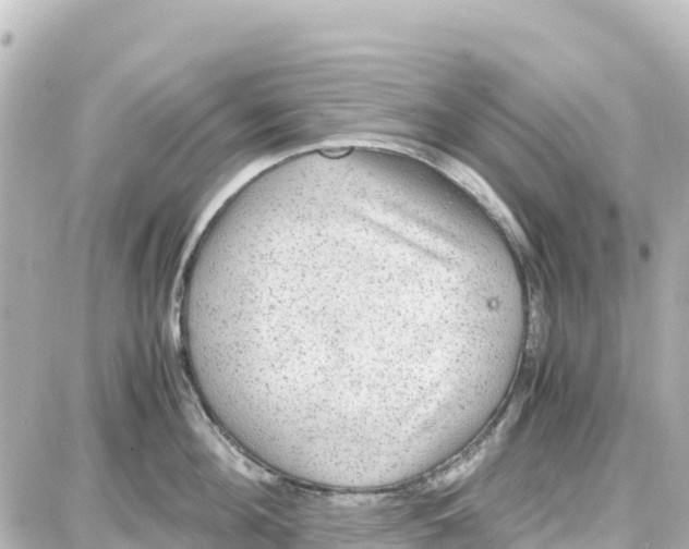 X0000087690908200705251705