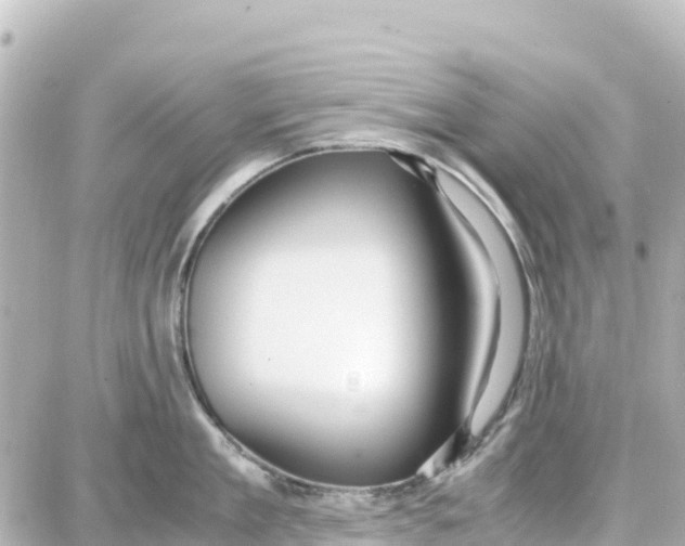 X0000087690909200705251705