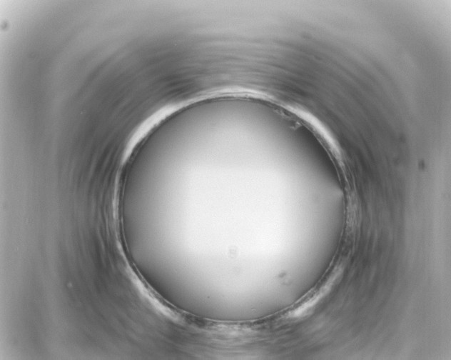 X0000087690910200705251705